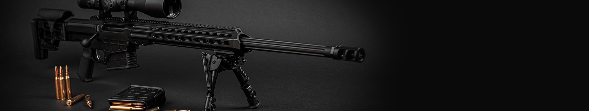 ARMES LONGUES